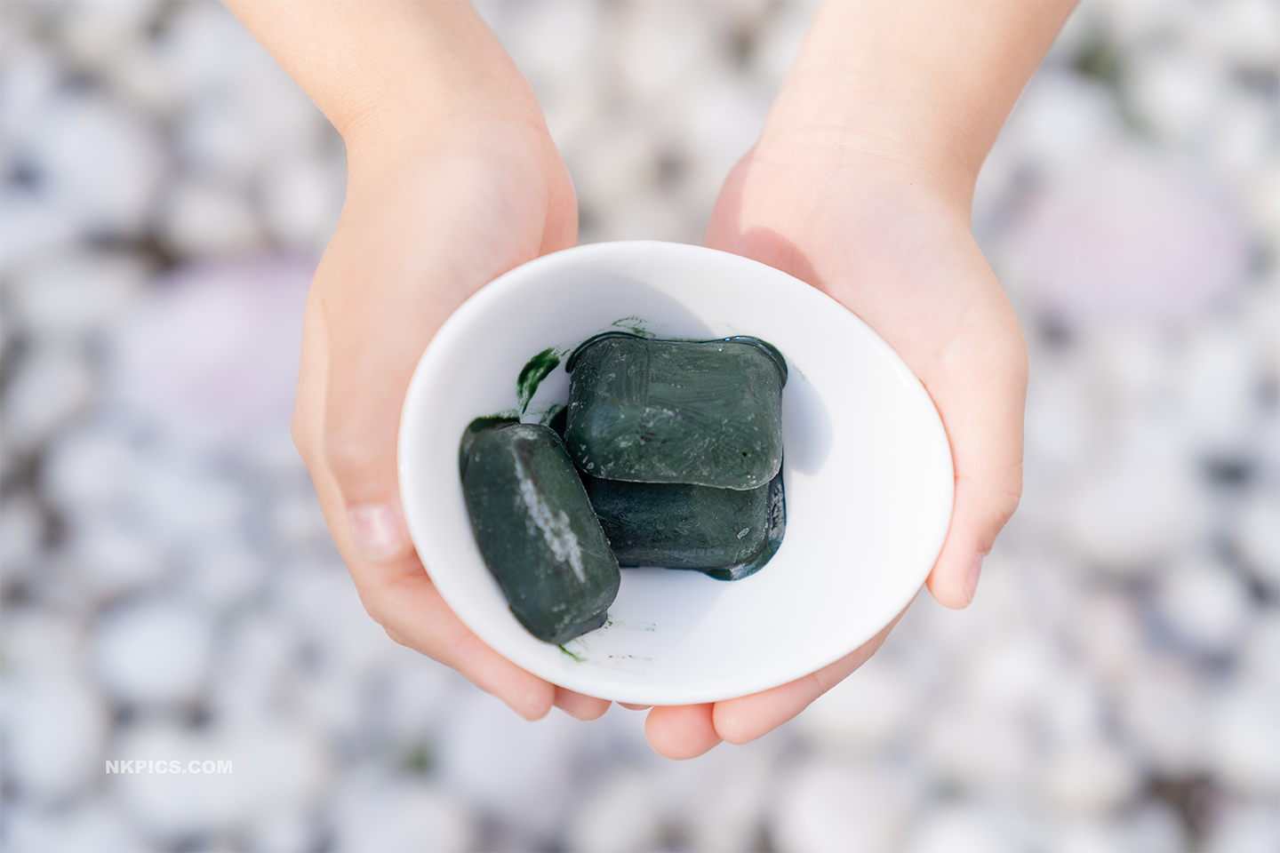 Frozen Fresh Spirulina