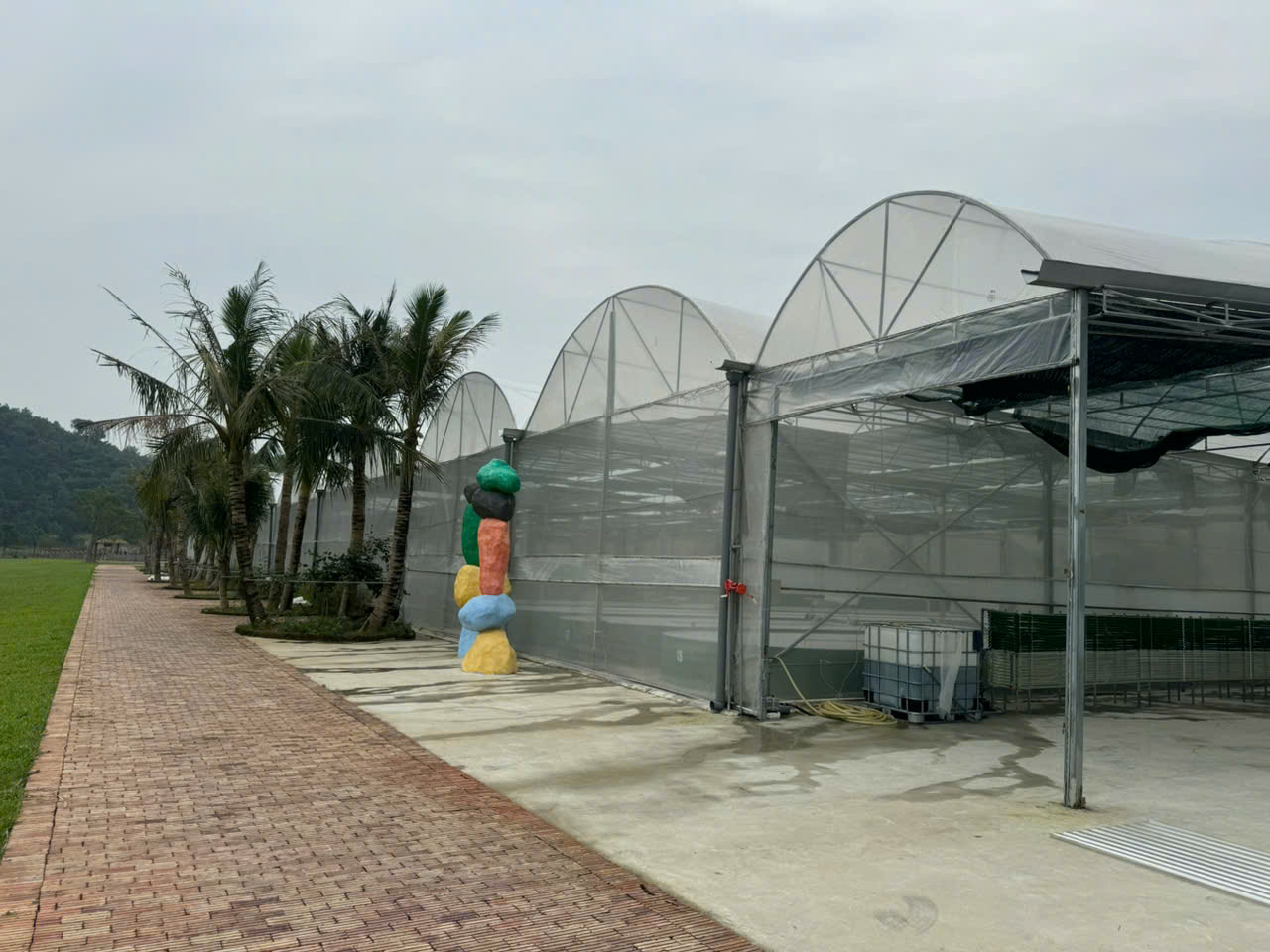 The Journey Of Cultivating Spirulina