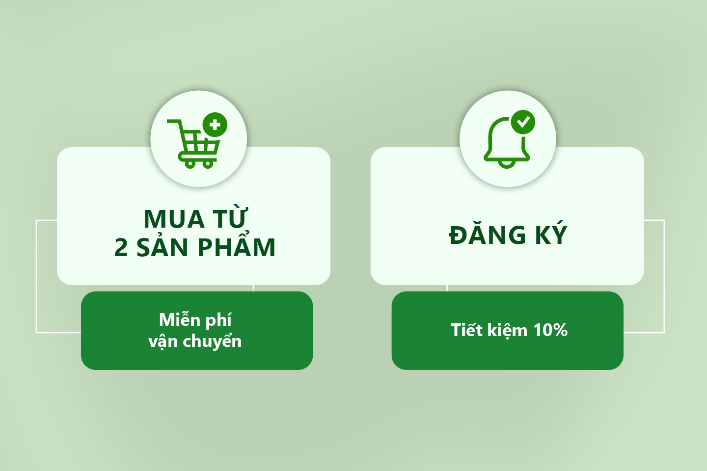 Ưu đãi dành cho sức khoẻ với Tảo xoắn Spirulina